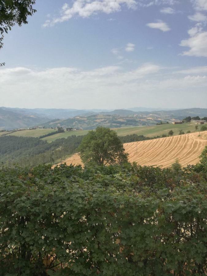La Furbera B&B Marano sul Panaro ภายนอก รูปภาพ